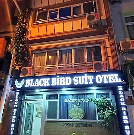 Black Bird Isztambul