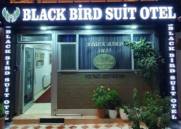 Black Bird شقة فندقية