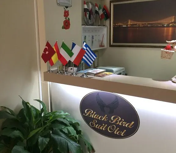 Black Bird شقة فندقية اسطنبول